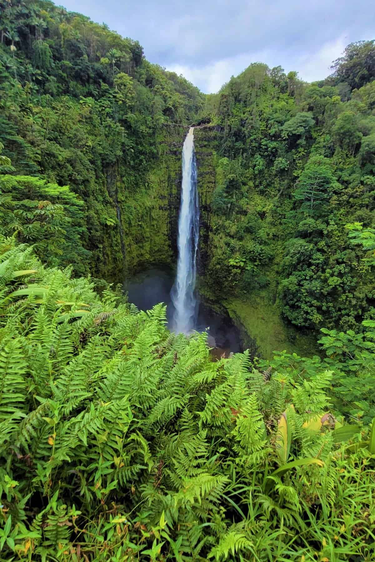 Akaka falls in Big Island