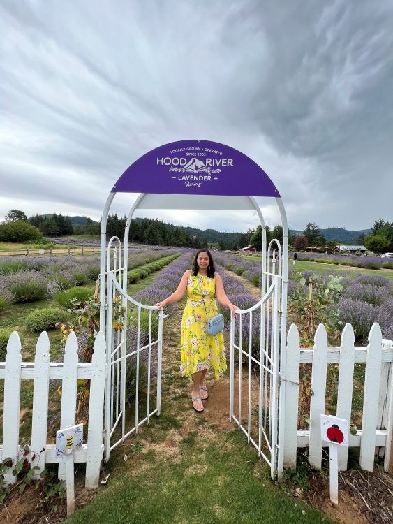 Girl standing at a white gate with lavender fields in the backdrop