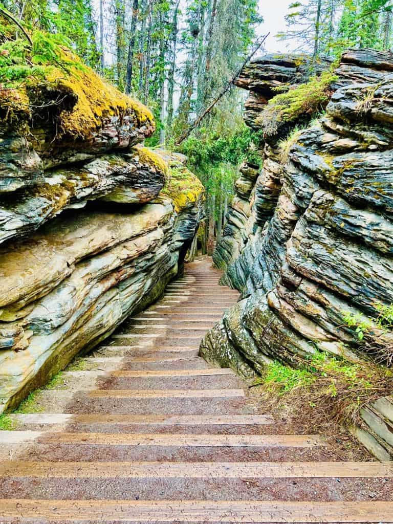Athabasca falls trail on Icefields parkway