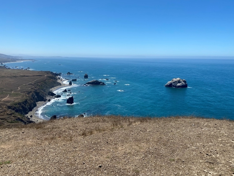 Ocean Views at Bodega Bay