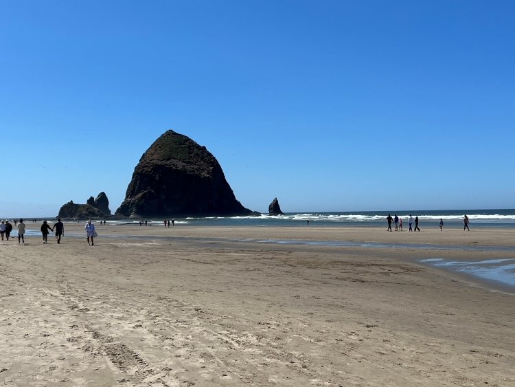 Oregon Coast in Winter: Things to Do and What to Expect (2023)