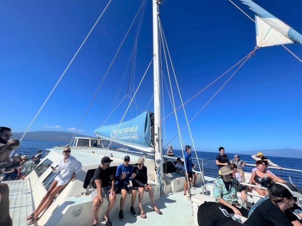 Our Whale watching tour on a catamaran boat. Catamaran boats are best for Maui whale watching tours. 
