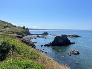 Oregon Coast with ocean bluffs and sea stacks
