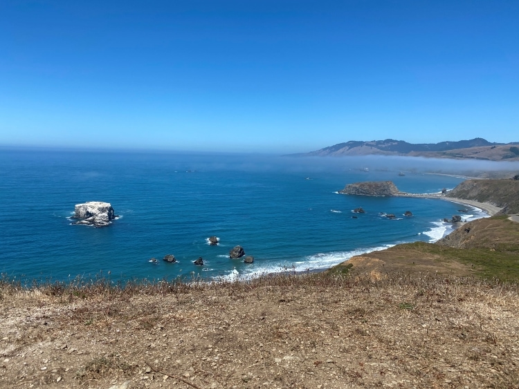 Goat Rock State Beach and ocean views