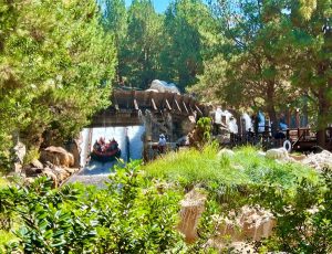 Grizzly River Run Ride