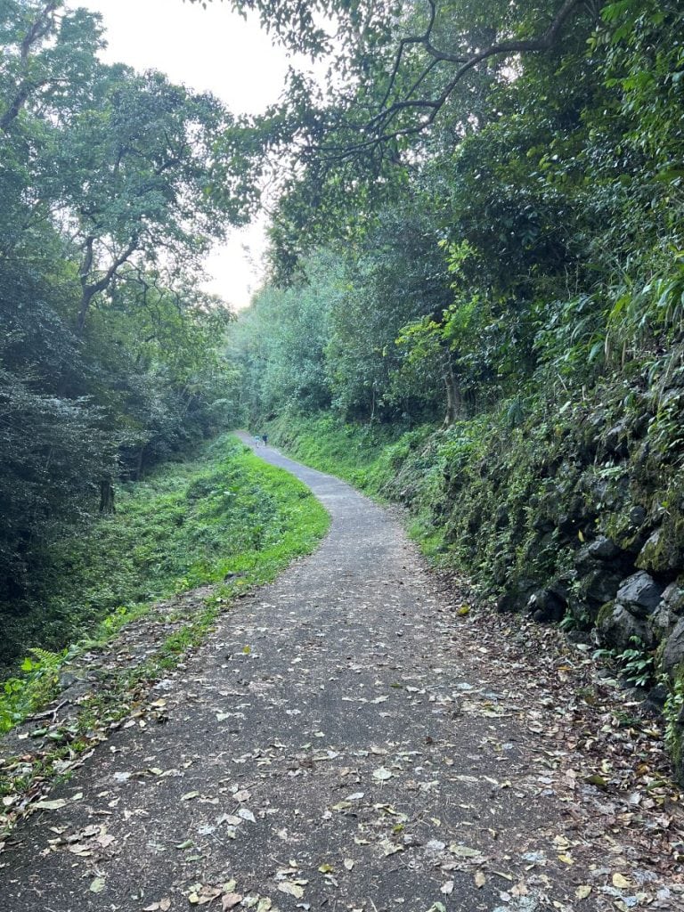 a paved trail path between lush green vegetation and trees at Keanae Arobretum