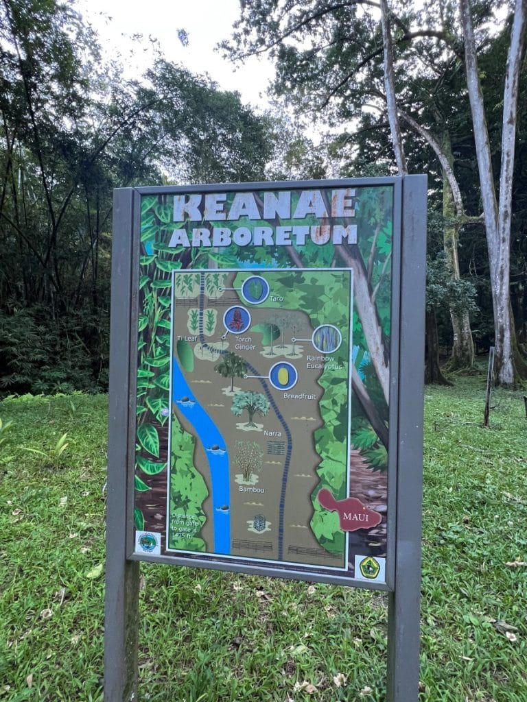 A sign board showing the map of Keanae Arboretum 