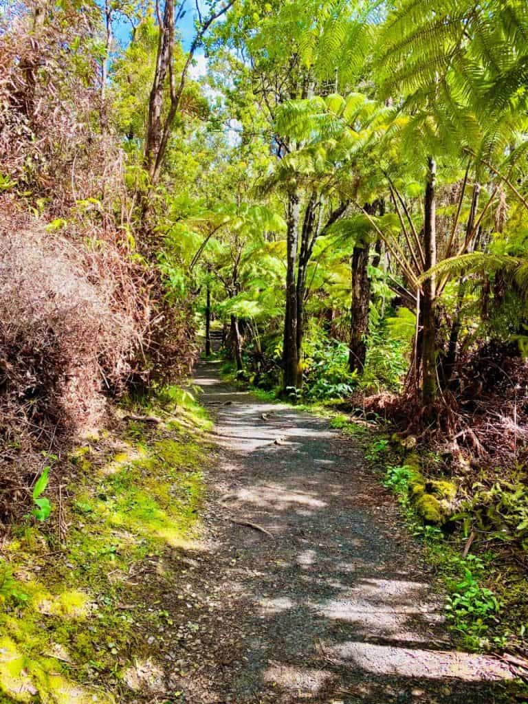 Kilauea Iki Trail Crater Rim Trail