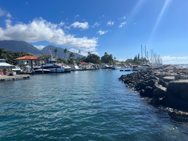 Boats lined up at Lahaina Harbor in Maui