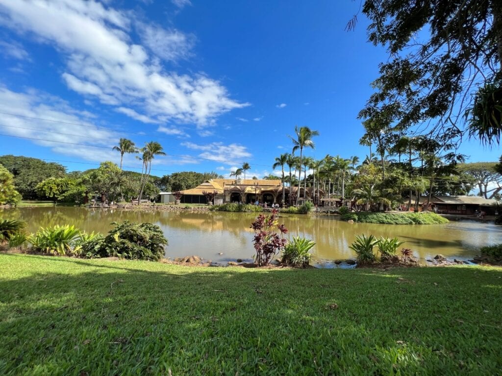 A lagoon surrounded by greenery at Maui Tropical plantation