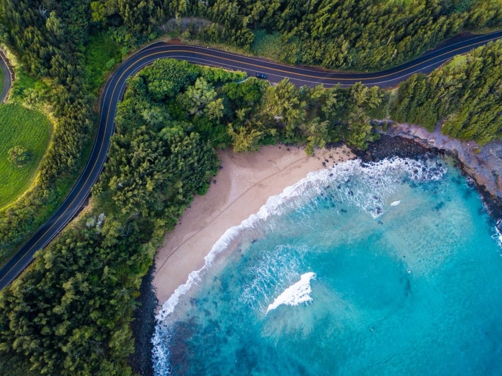 Aerial view of a winding road in a rainforest next to a beach and ocean