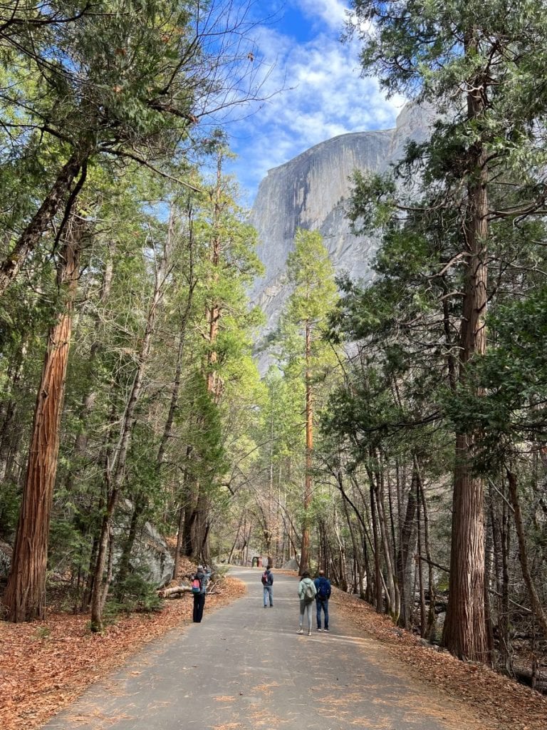 Hikers walking on the paved hiking trail with views of Half Dome and tall trees on both sides