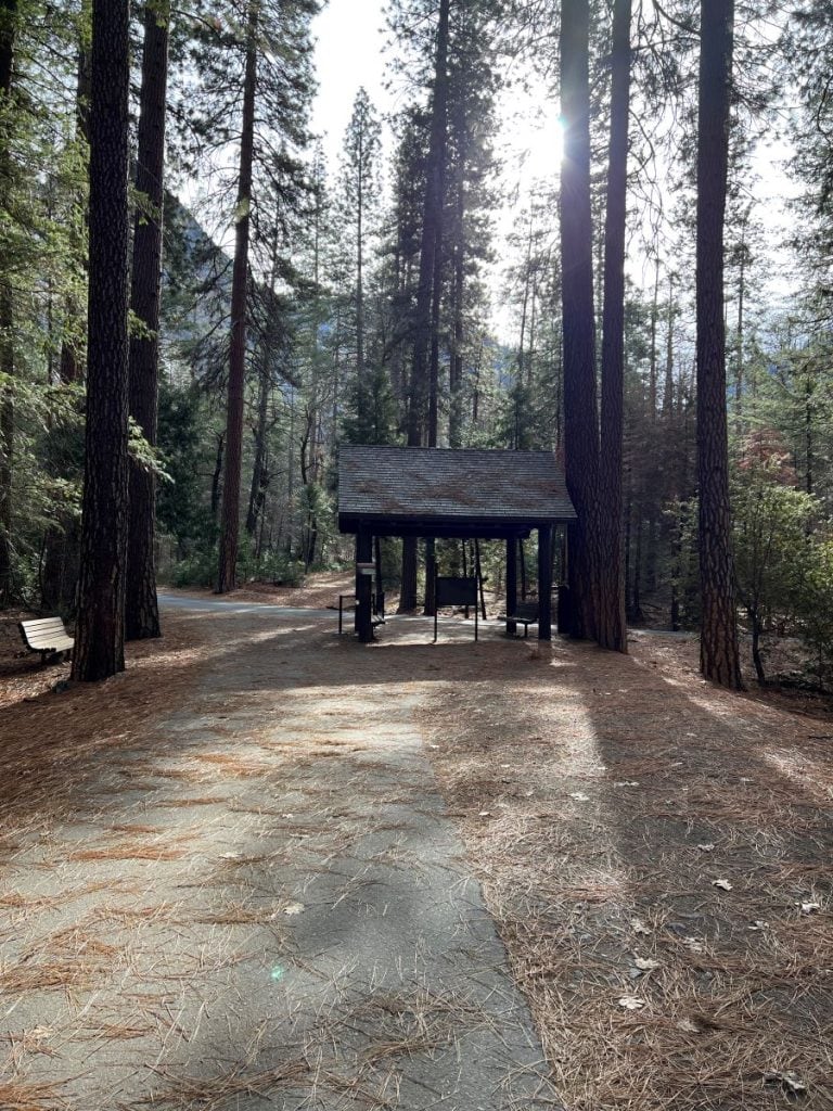 Shuttle stop number 17 at Mirror Lake trailhead in Yosemite National Park. A hut like structure with tall trees around it.