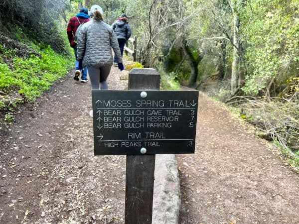 Moses Spring trail fork, left goes to Bear Gulch Cave Trail