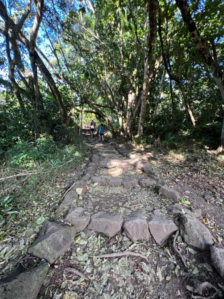 Stone steps and incline at Pipiwai trail
