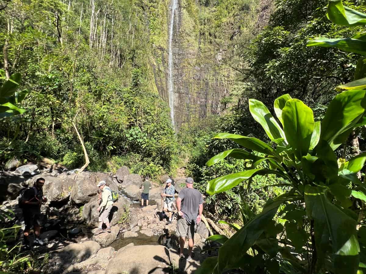 Stream crossing at Pipiwai trail to reach the Waimoku falls viewpoint