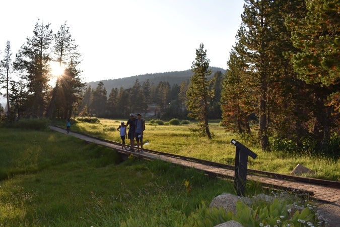 Tahoe Meadows Interpretive Trail
