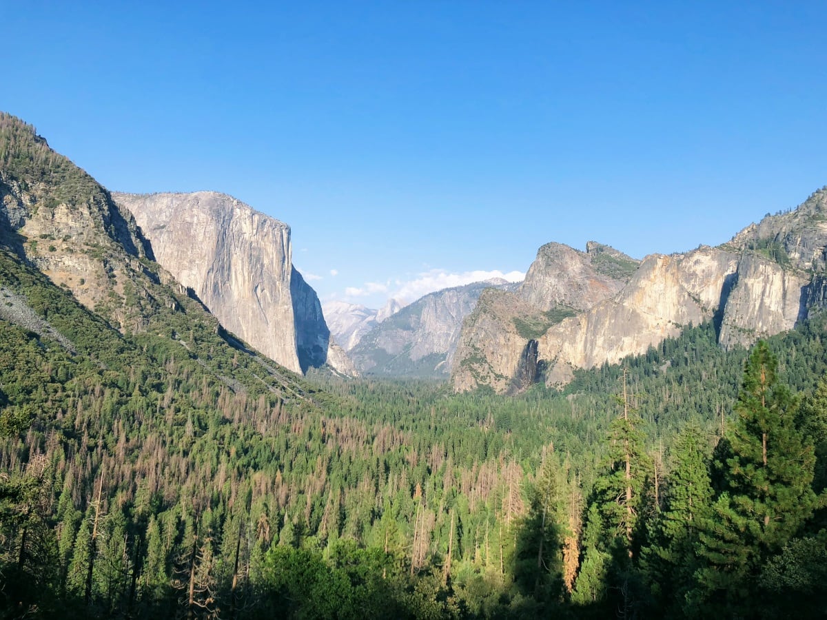 Tunnel View in Yosemite with a canopy of forest trees and granite cliffs