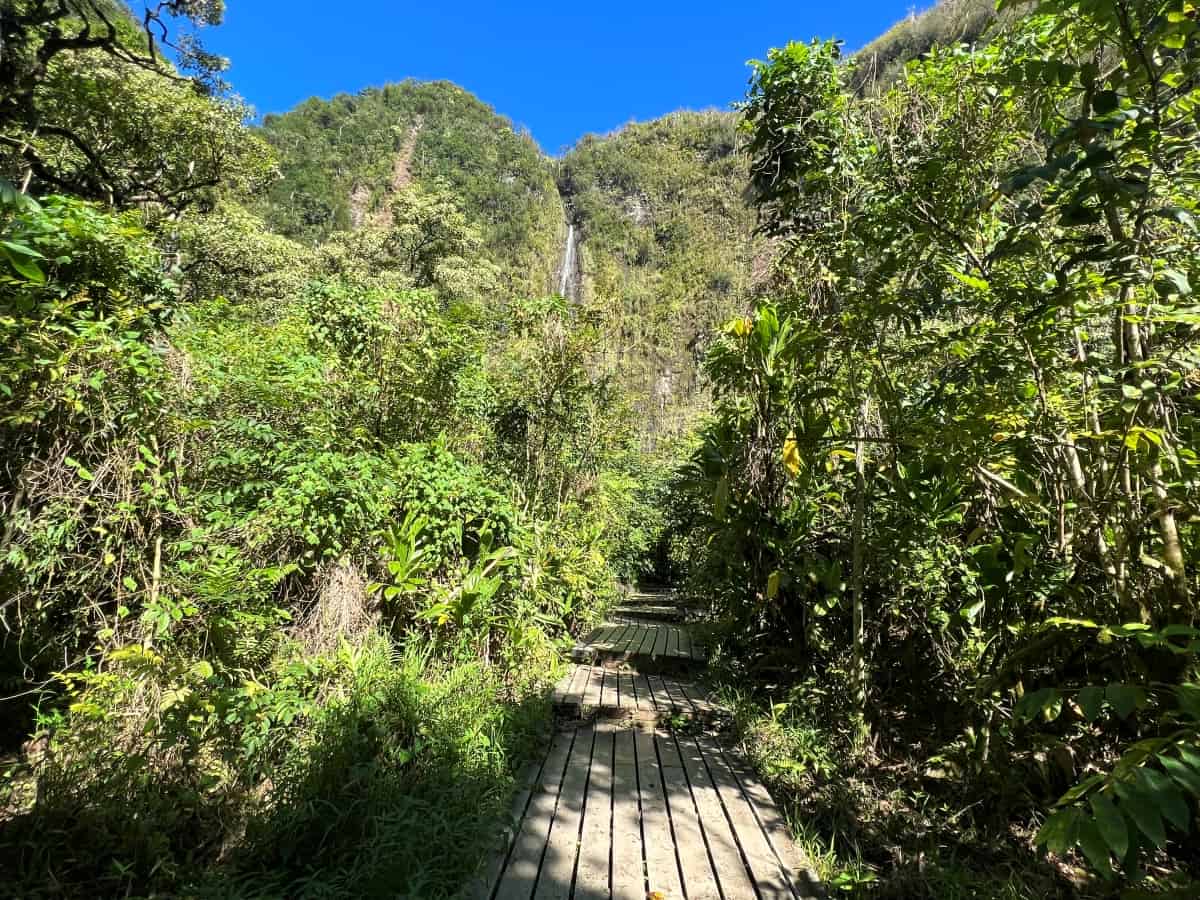 Waimoku falls view from Pipiwai trail