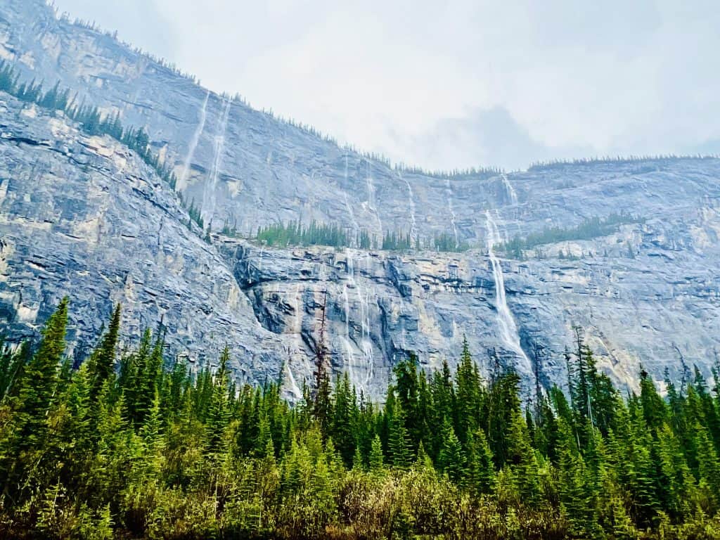 Weeping wall on Icefields parkway