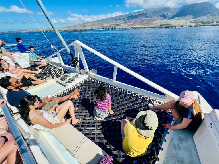 5 Best Maui Whale Watching Tours (2023-2024 season)