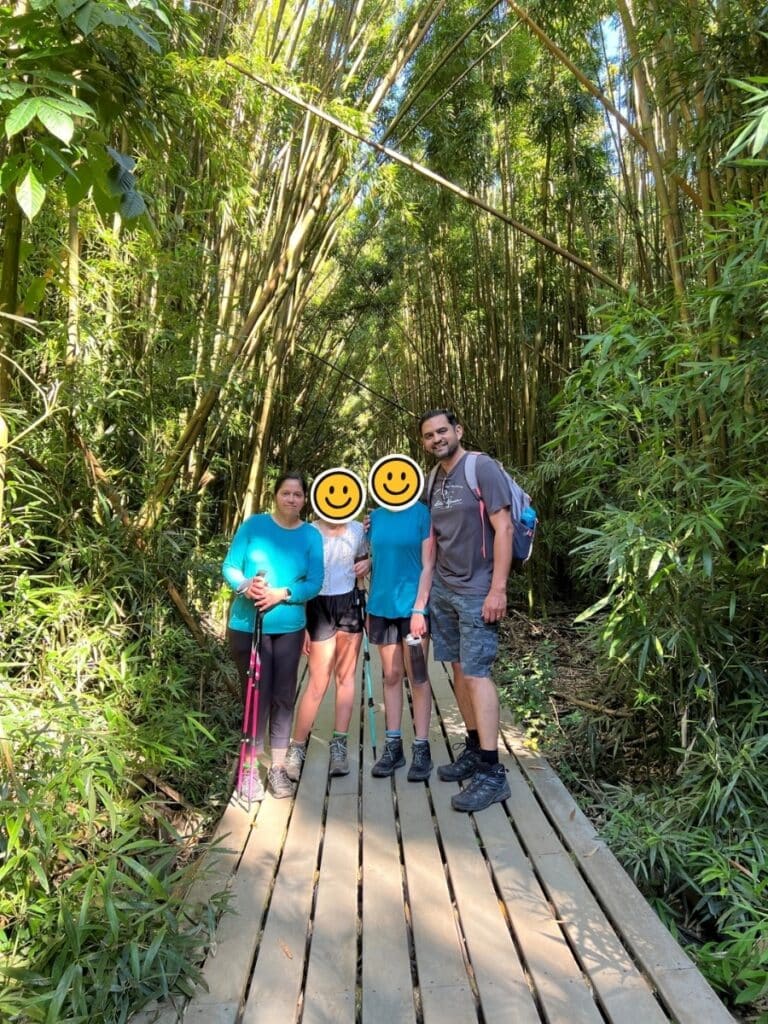 A family standing on a boardwalk in a dense bamboo forest