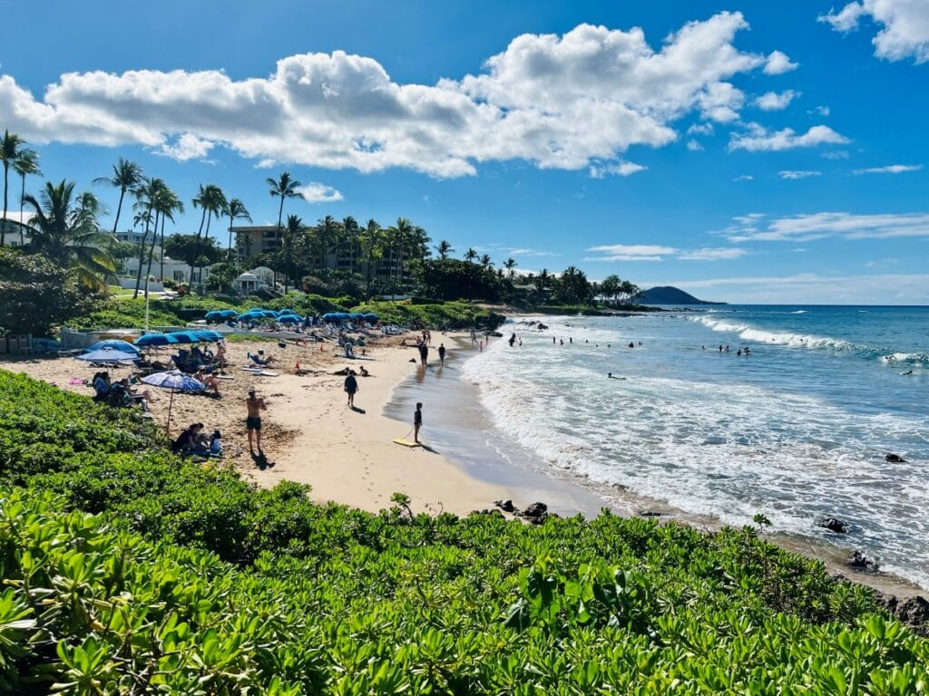 A beautiful beach cove with greenery on one side and ocean on the other