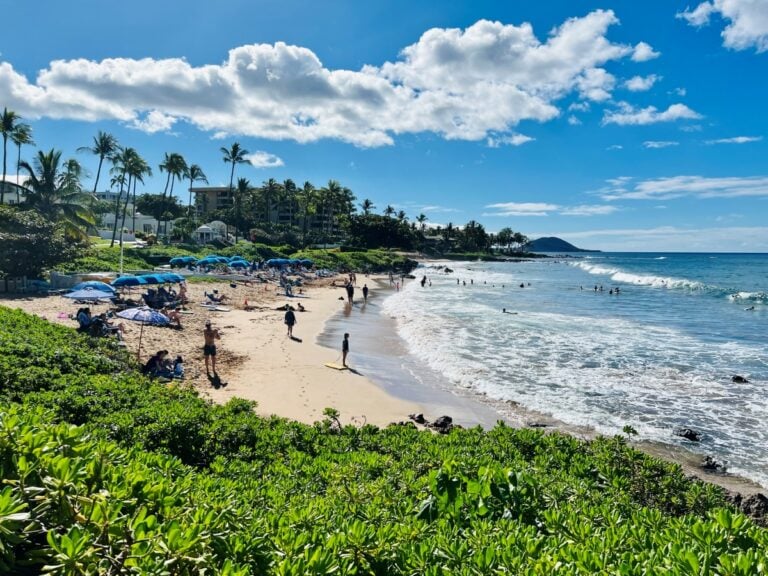 A beautiful beach cove with greenery on one side and ocean on the other
