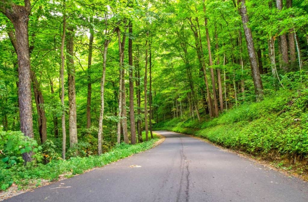 best scenic drives in smoky mountains roaring fork motor trail