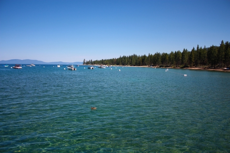 Boats in Lake Tahoe