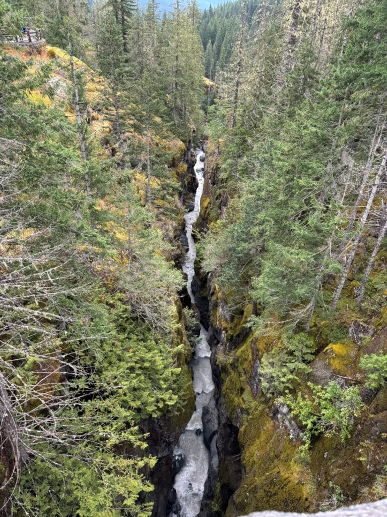 River flowing through the canyon