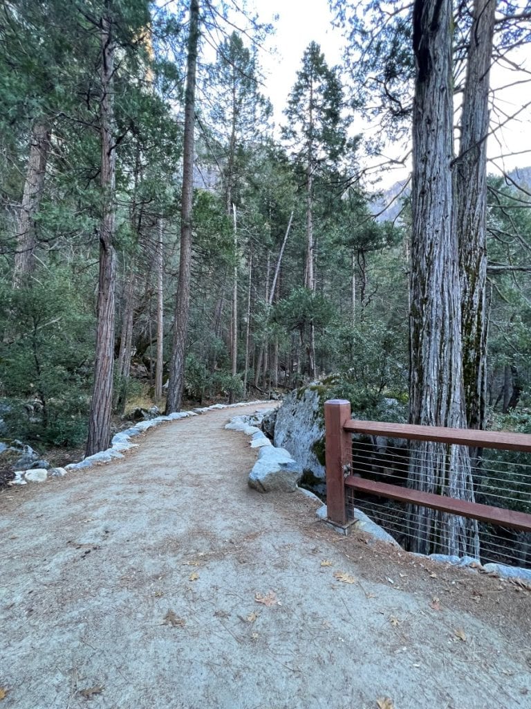 hiking path in a forest in yosemite