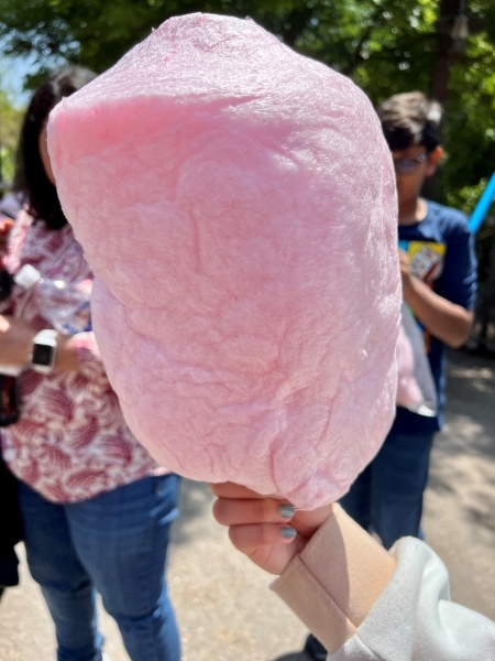 hand holding pink cotton candy