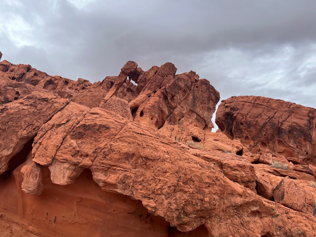 Red Rock Canyon Vs Valley of Fire: My experience visiting both ...