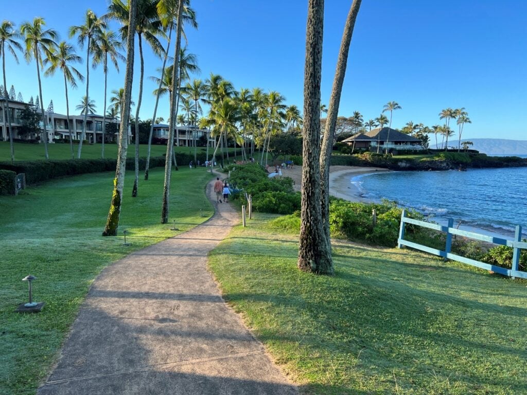 A paved trail next to the ocean on a landscaped path with palm trees, green grass