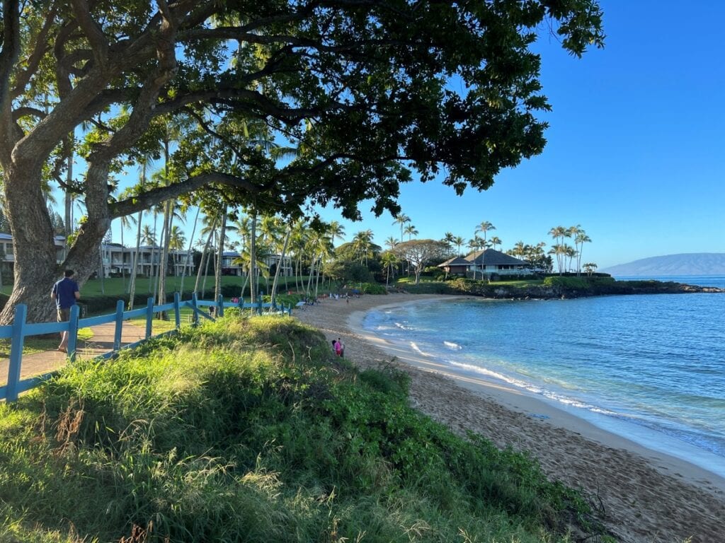 Beach cove with greenery and a walking path