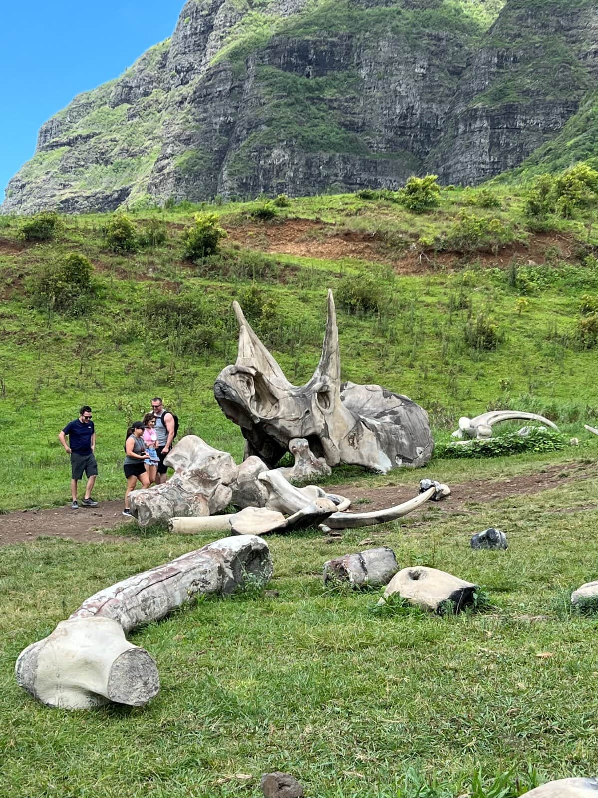 Is Kualoa Ranch worth it, and which tour should you pick? - Destination ...