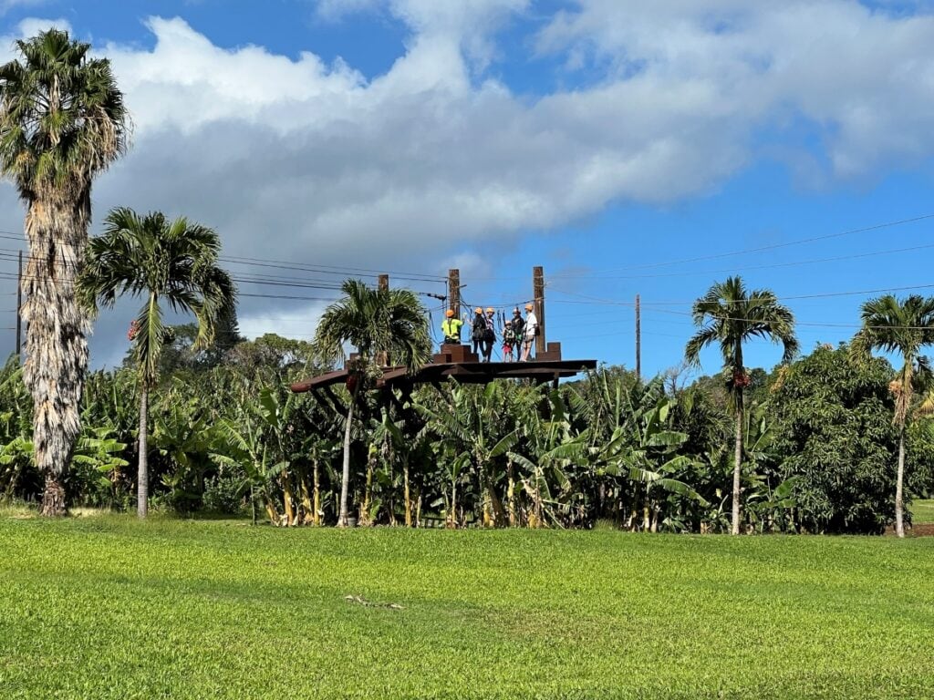A zipline platform in a tropical setting