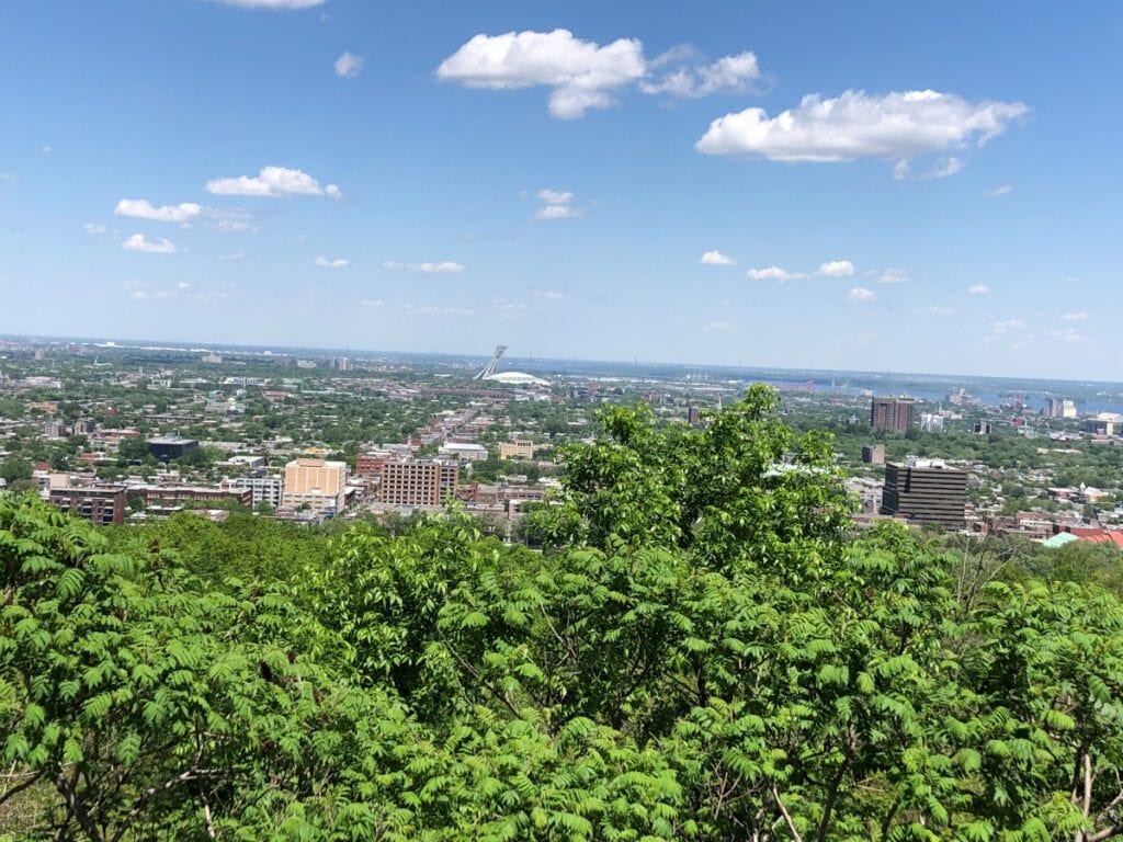 View of Montreal city