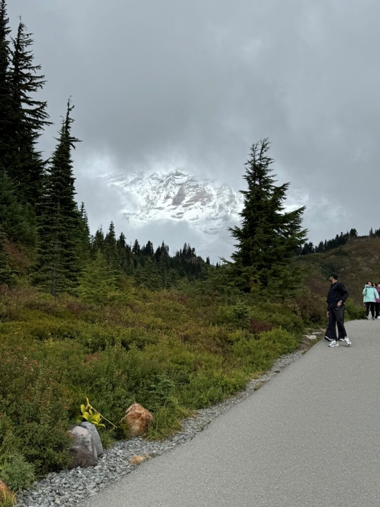 Myrtle Falls Trail