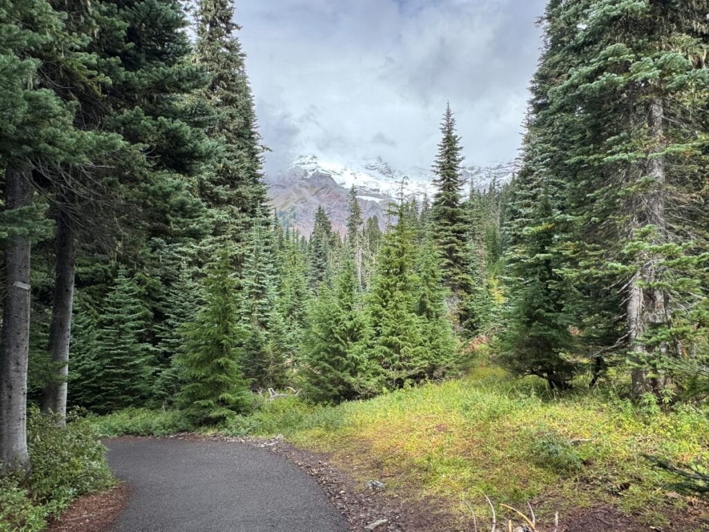 Hiking trail at Mt Rainier