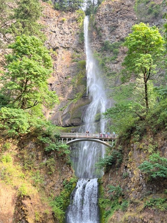 Multnomah Falls in Columbia River Gorge, Oregon