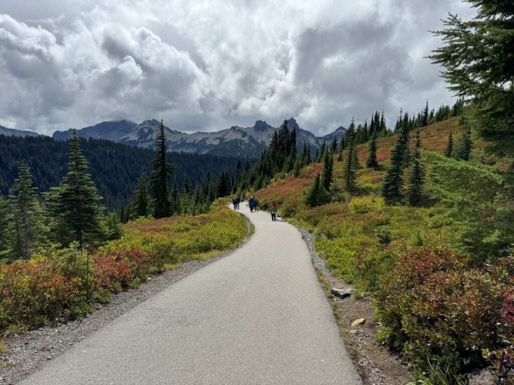 Myrtle Falls trail in Paradise