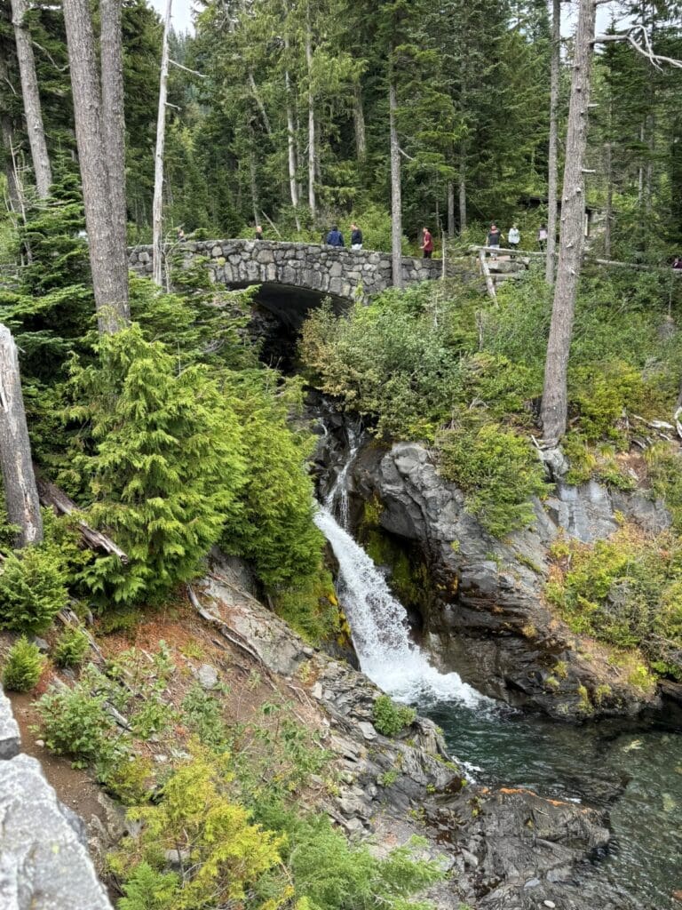 Narada Falls view from the parking lot