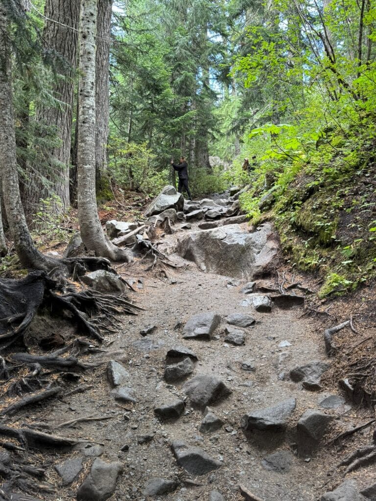 Narada Falls Trail is rocky and steep