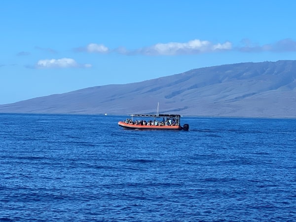 Lahaina whale watching tour on an inflatable raft boat in Maui