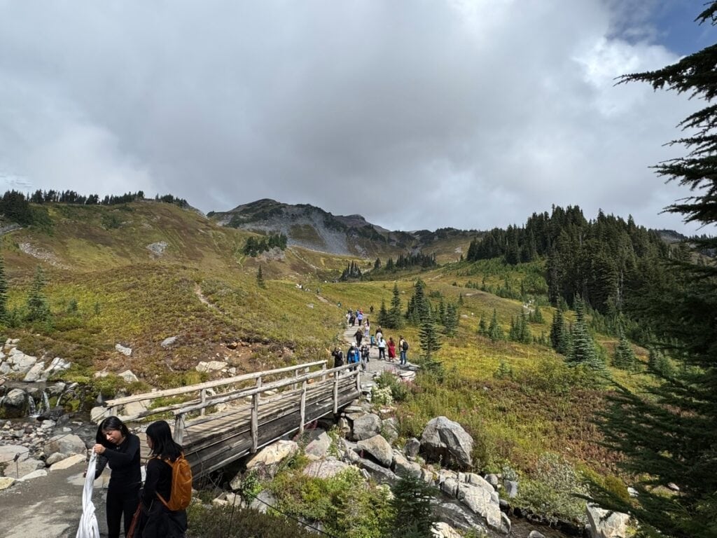 Paradise trail seen from Myrtle Falls