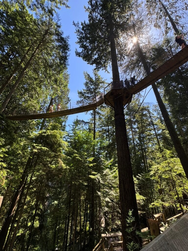 Treetops Adventure at Capilano Park